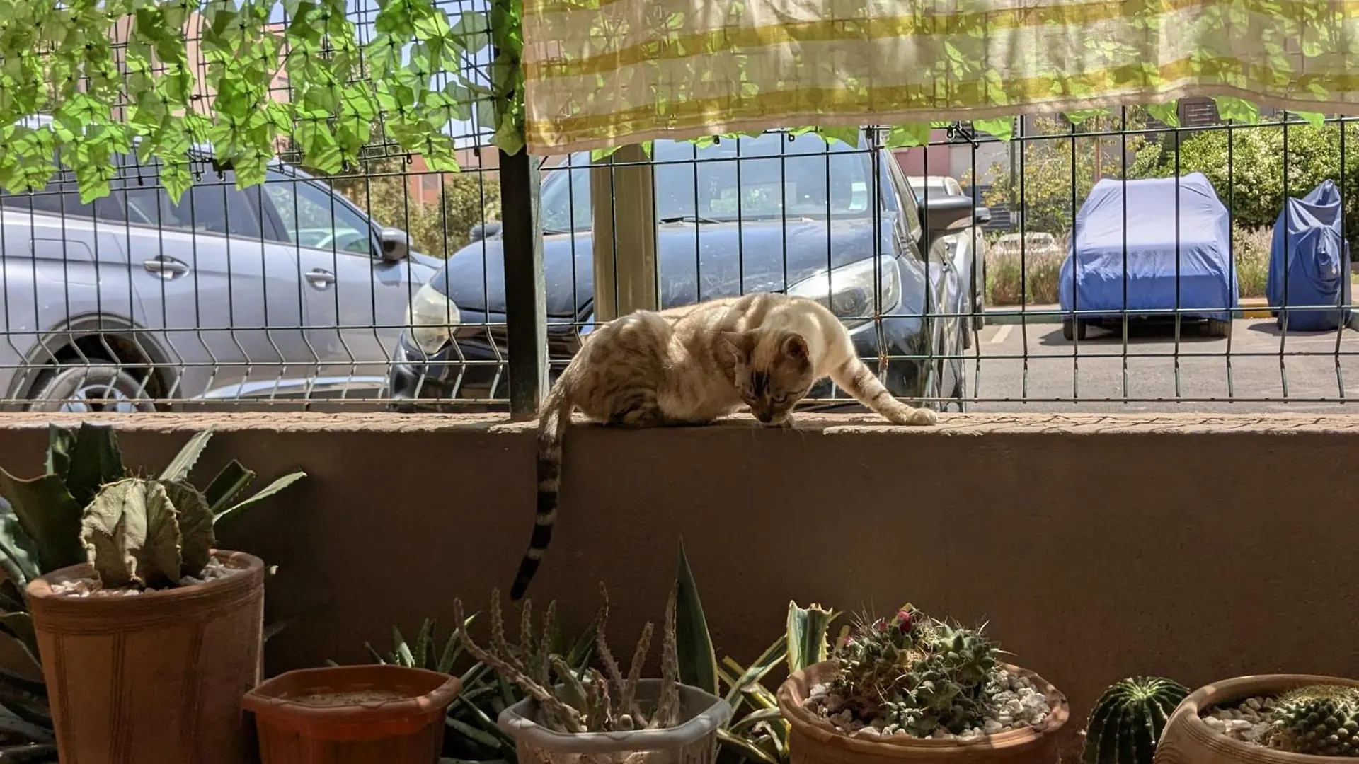 Dar Saida Apartment Marrakesh