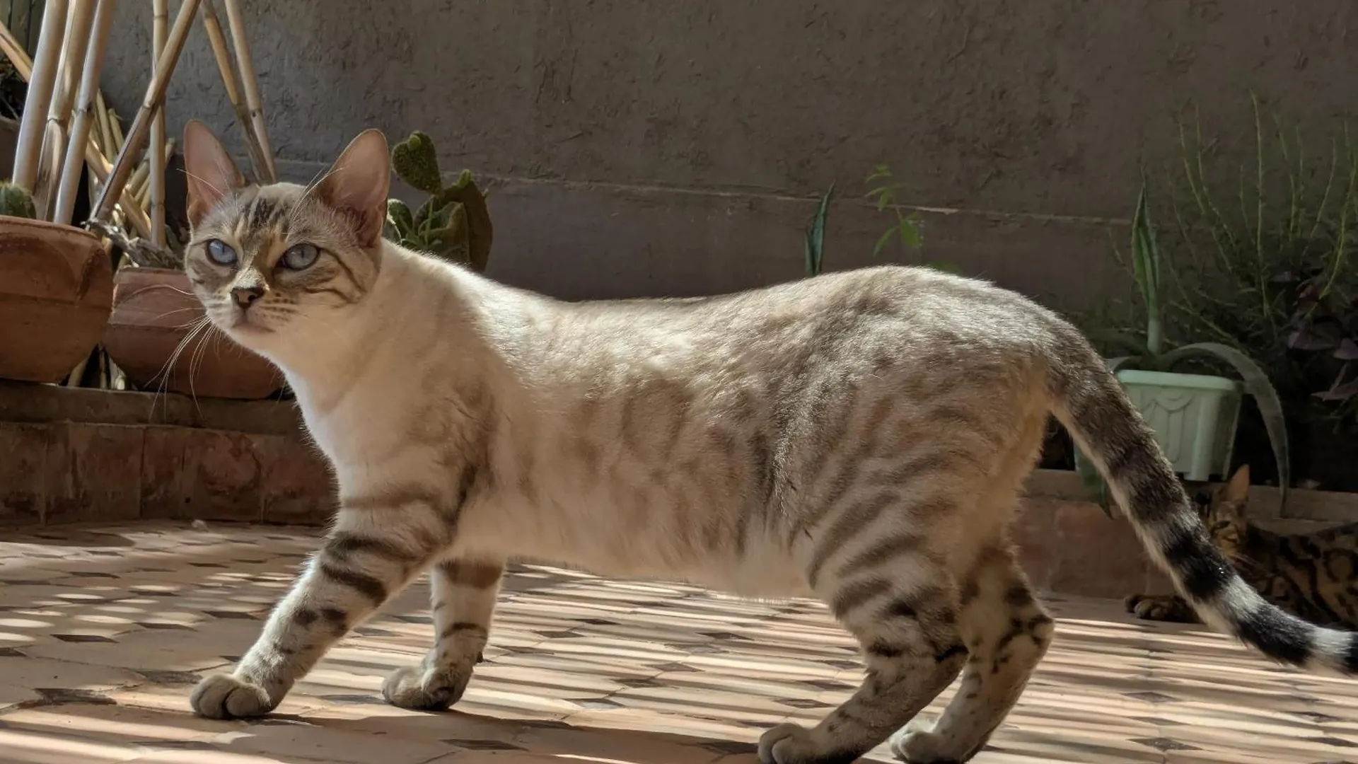 Dar Saida Apartman Marrákes